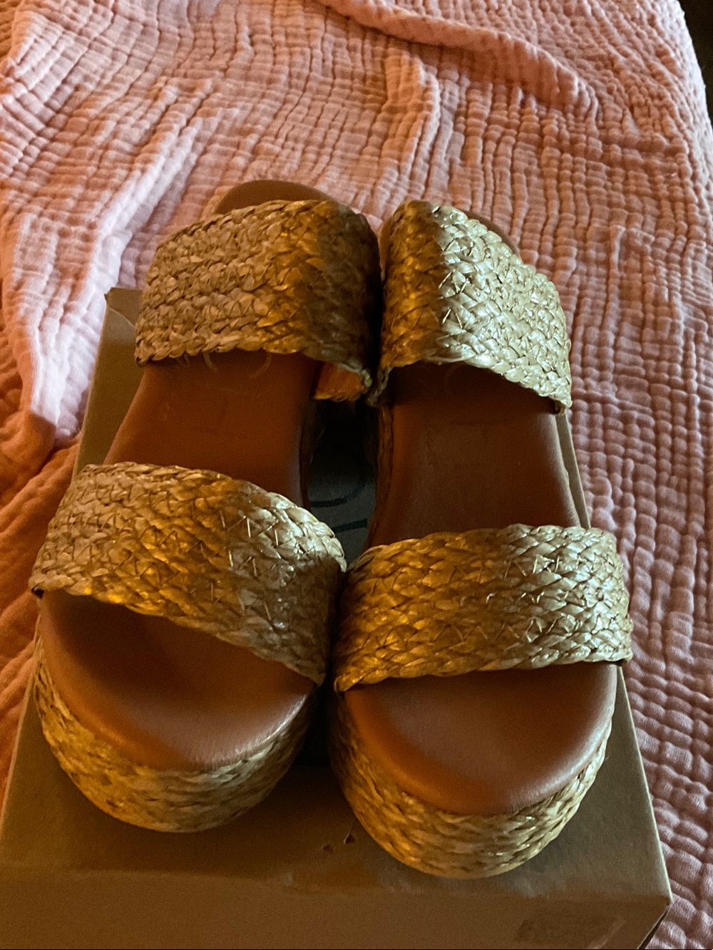 Matisse Metallic Woven Double-Strap Platform Slides - Gold